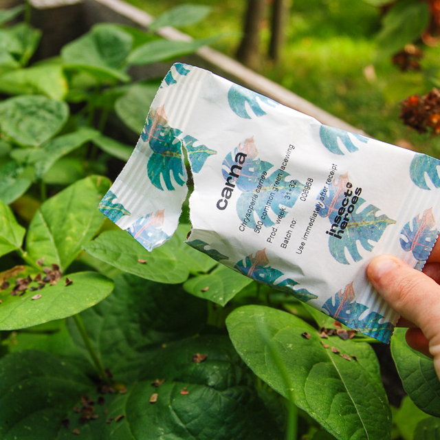 Pack anti pucerons Essentiel Pack anti pucerons Essentiel