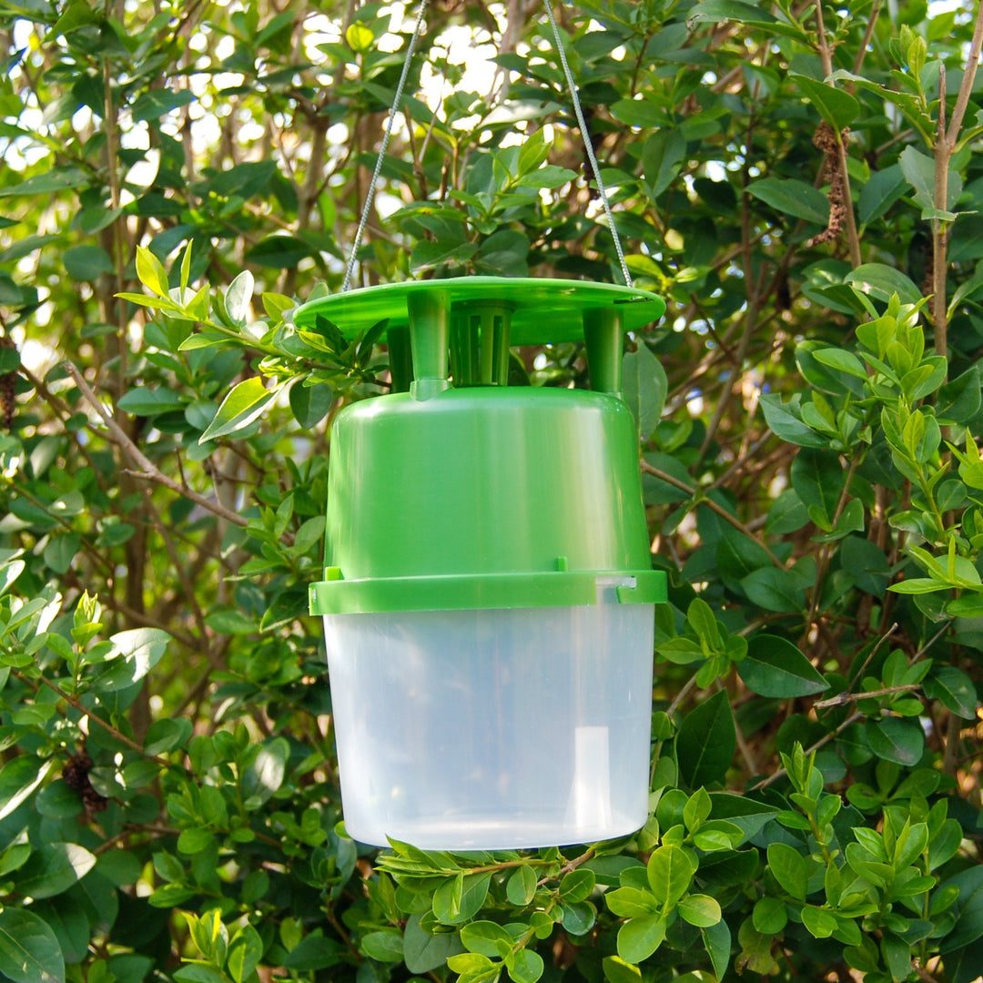 Recharge Buxa - capsule de phéromones Recharge Buxa - capsule de phéromones