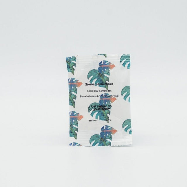 Nématodes Felti Nématodes Felti