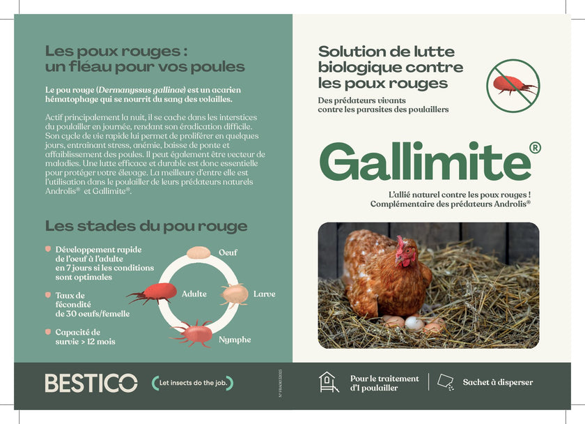 Gallimite - Anti poux rouges Gallimite - Anti poux rouges