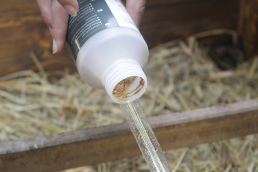 Diffuseur de prédateurs naturels Prevorus Diffuseur de prédateurs naturels Prevorus