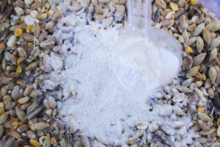 Répulsif poux rouges - Appic'ure Répulsif poux rouges - Appic'ure