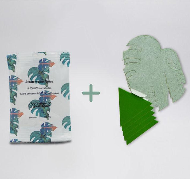 Pack anti moucherons Essentiel Pack anti moucherons Essentiel