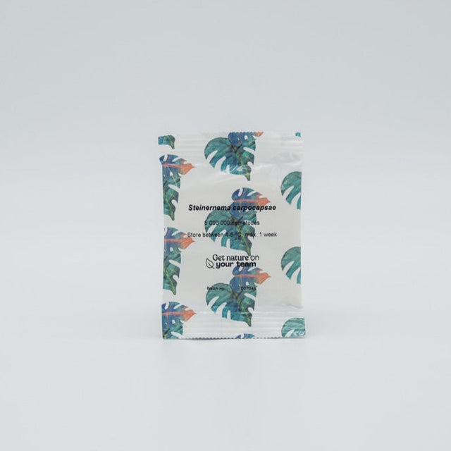 Nématodes Carpo Nématodes Carpo