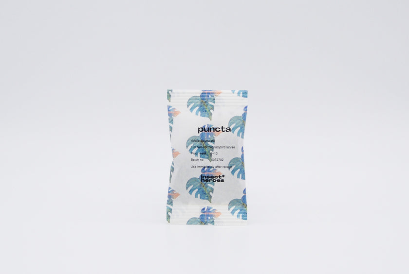 Anti pucerons - Puncta Anti pucerons - Puncta