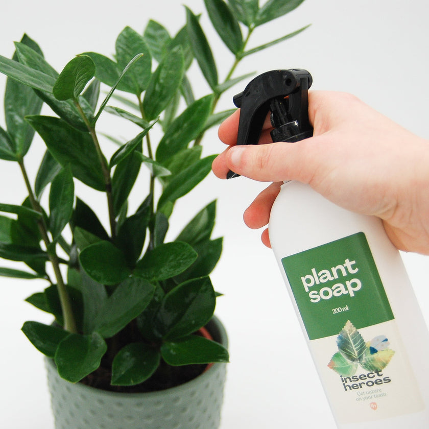 Savon pour plantes Savon pour plantes