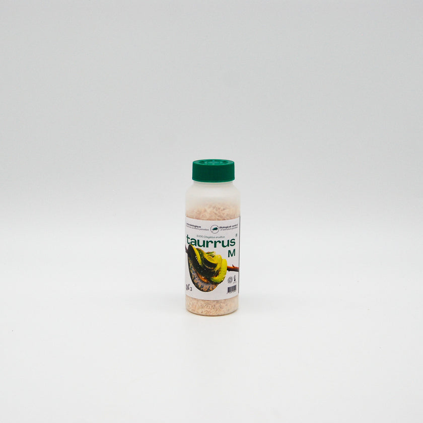 Taurrus - Anti parasites des terrariums Taurrus - Anti parasites des terrariums