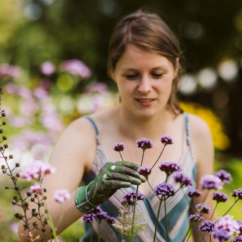 Préparer son jardin pour le printemps