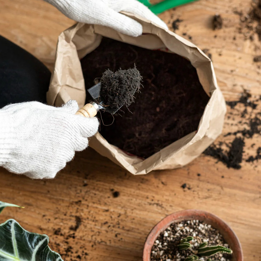 Comment bien choisir son terreau durable et fabriquer son substrat ?