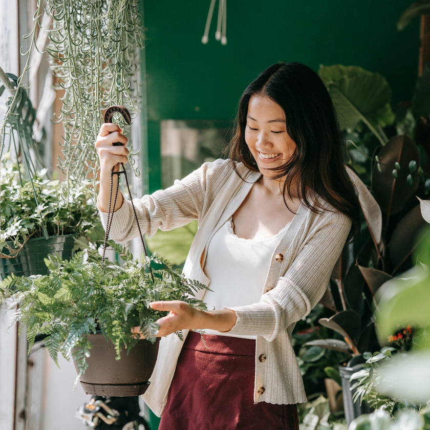 Comment bien choisir sa plante d'intérieur ?