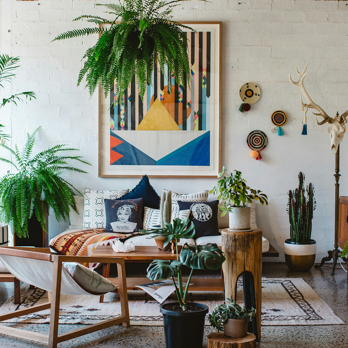 Nos astuces pour partir en vacances tout en prenant soin de vos plantes d'intérieur