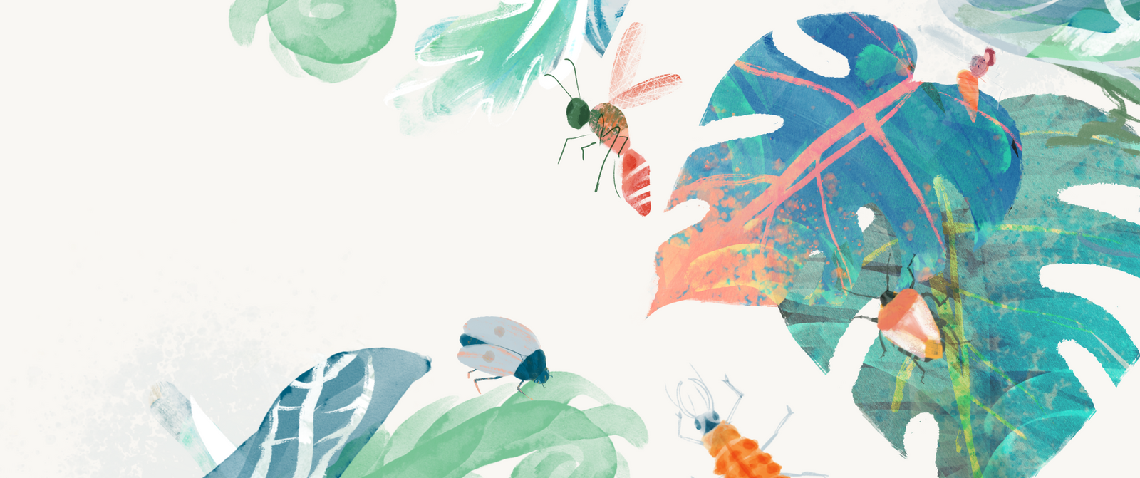 Insect Heroes - Produit de lutte biologique pour les plantes & animaux