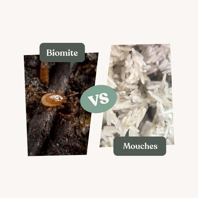 Biomite - Anti-mouches