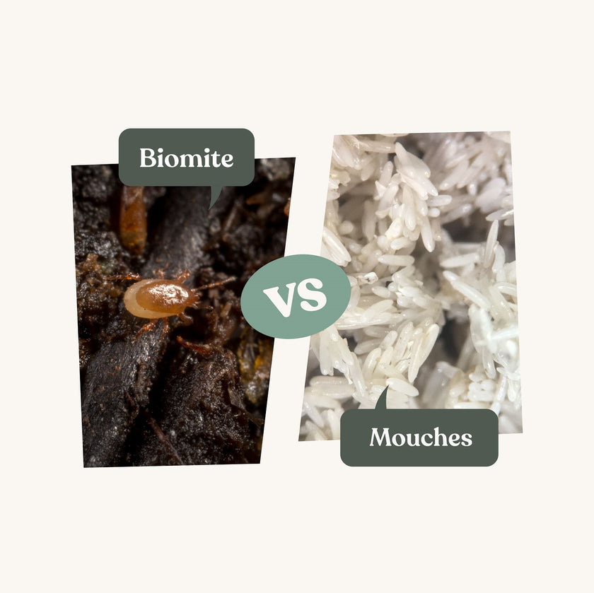 Anti mouches - Biomite