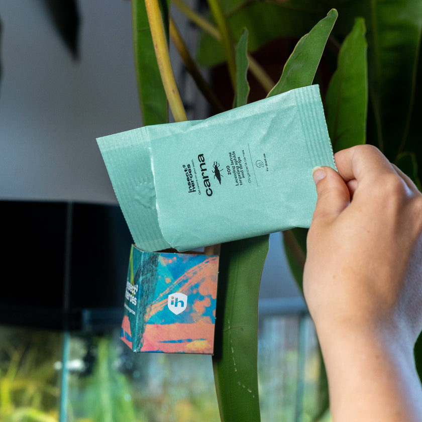 Carna - Anti-pucerons