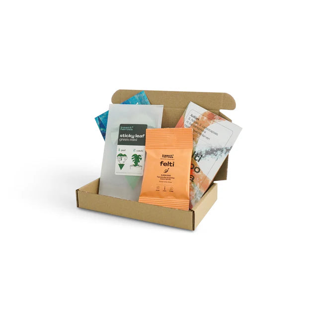 Pack anti moucherons Essentiel