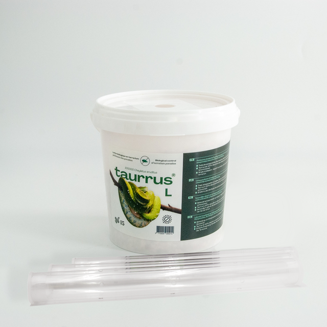 Combo Starter Taurrus L - Anti parasites des terrariums