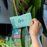 Pack Anti thrips - Essentiel