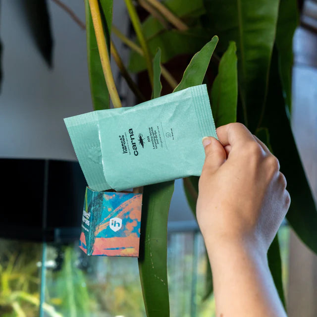 Pack Anti thrips - Essentiel