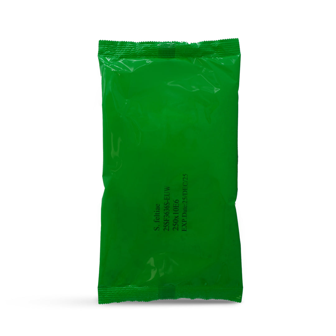 Nématodes Felti - Anti hanneton