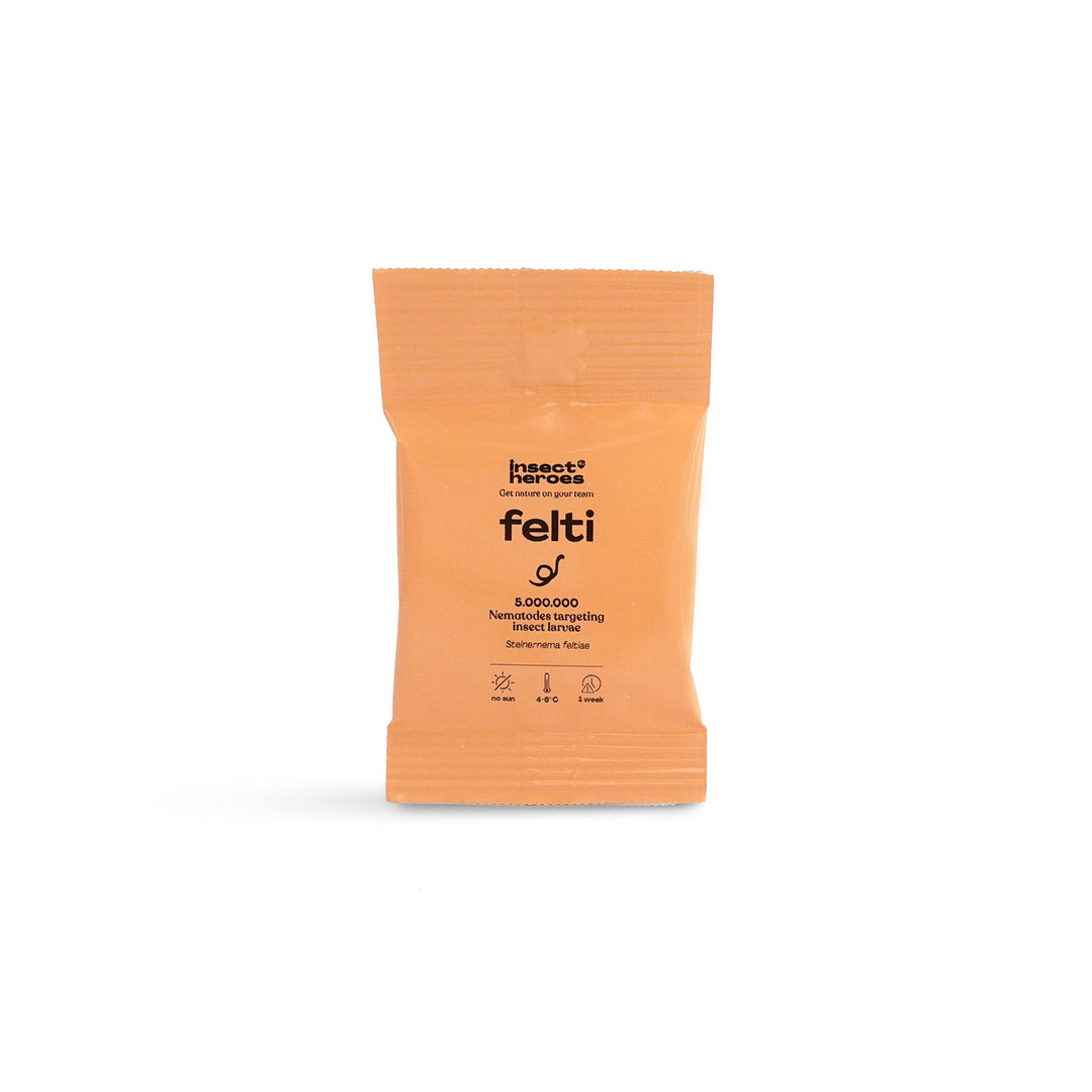Nématodes Felti - Anti-moucherons