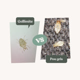 Gallimite - Anti poux gris