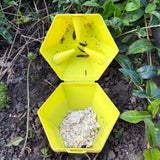 Limax - Piège à limaces