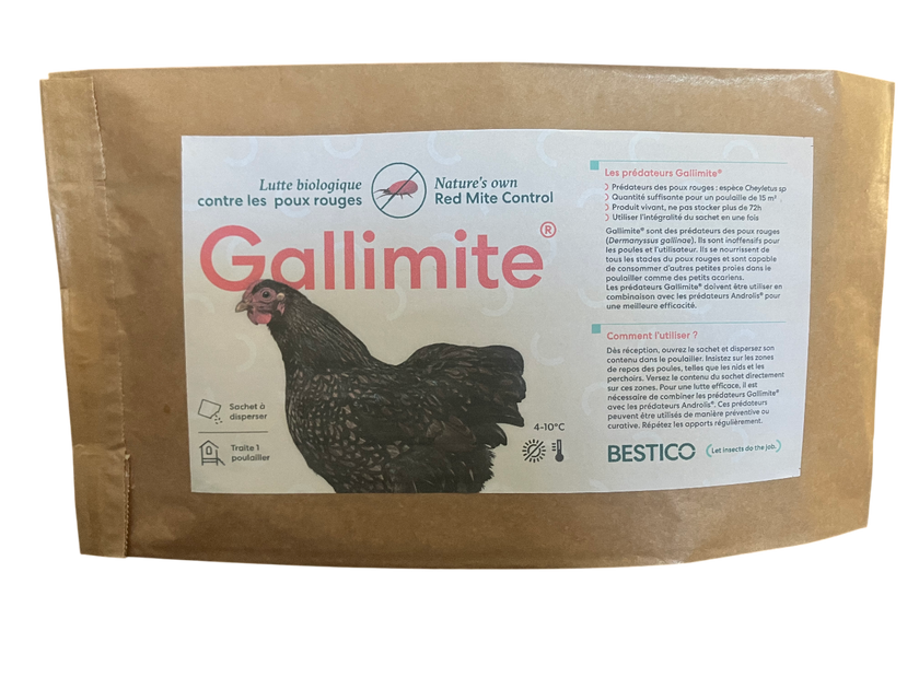 Gallimite