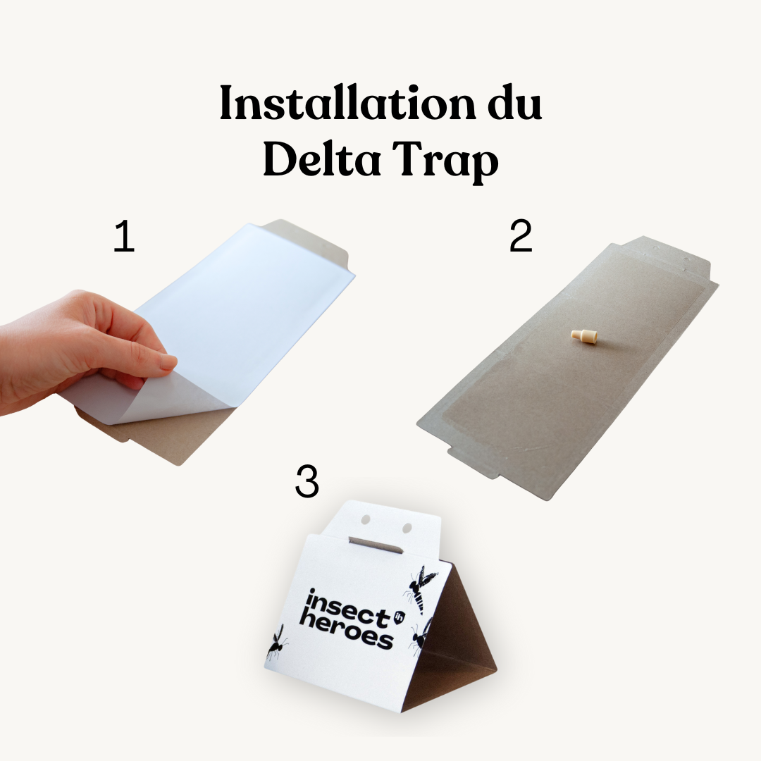 Delta Trap et phéromone - anti mites des vêtements