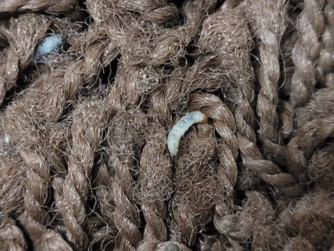 Image 59030594978125