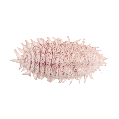 Image 51257473204557