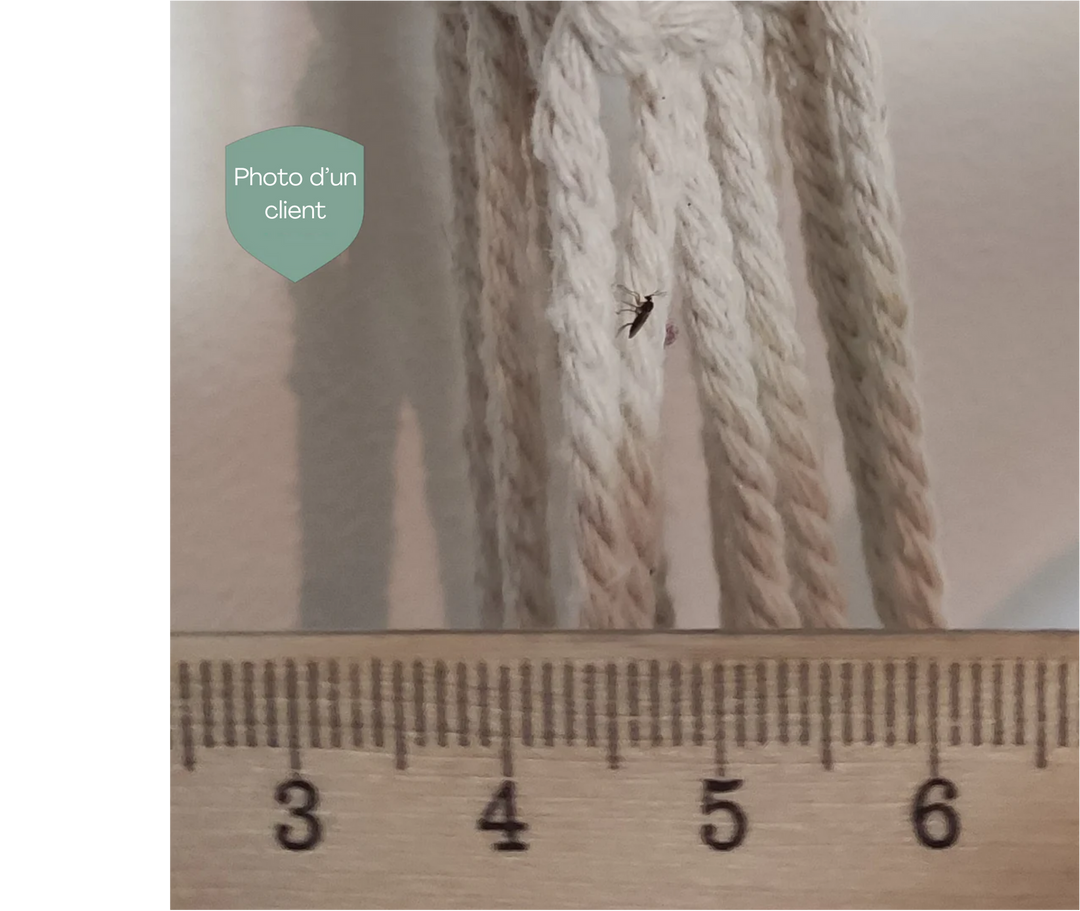 Image 48054270198093
