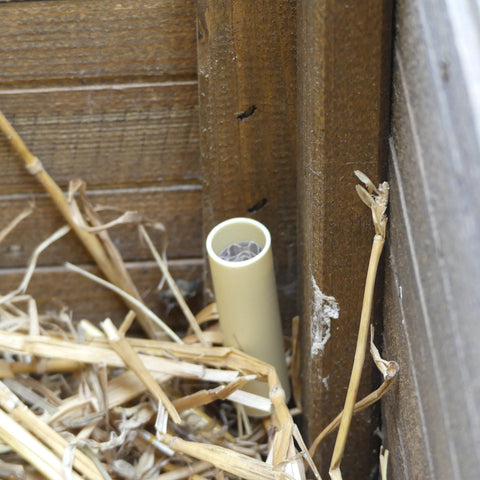 Image 47734761423181