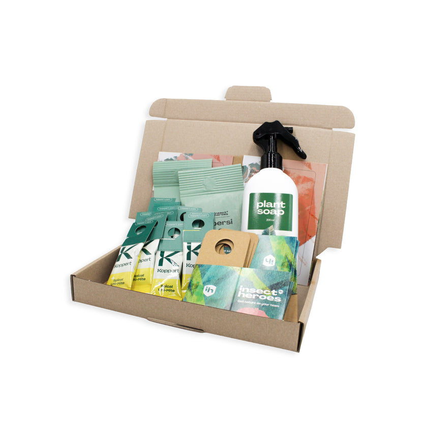 Pack Intensif - Anti-araignées rouges