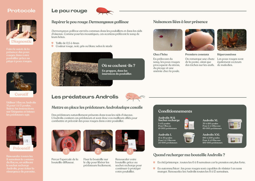 Androlis - Anti poux rouges
