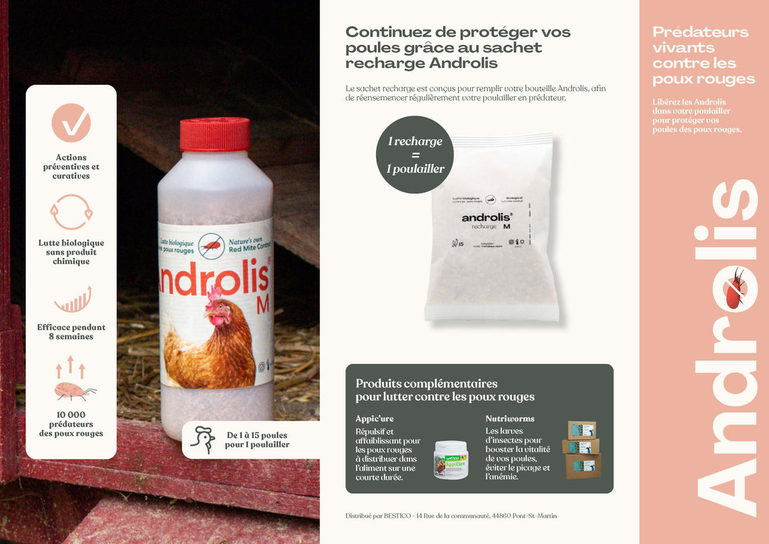 Androlis - Anti poux rouges