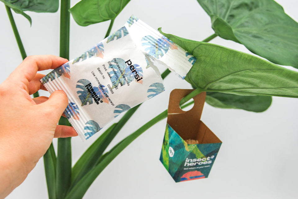 Pack Essentiel - Anti-araignées rouges