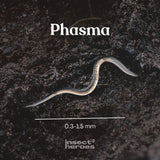 Nématodes Phasma - Anti-limace