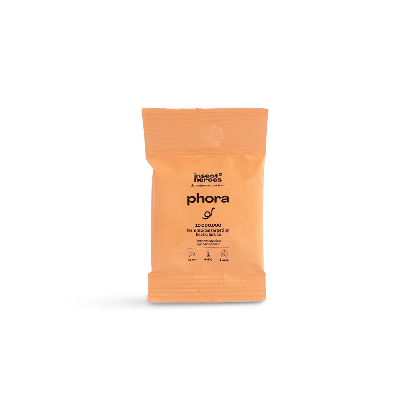 Nématodes Phora - Anti vers blancs