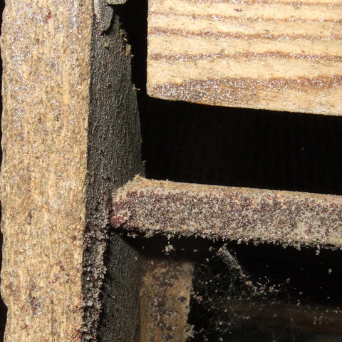 Image 47707426488653