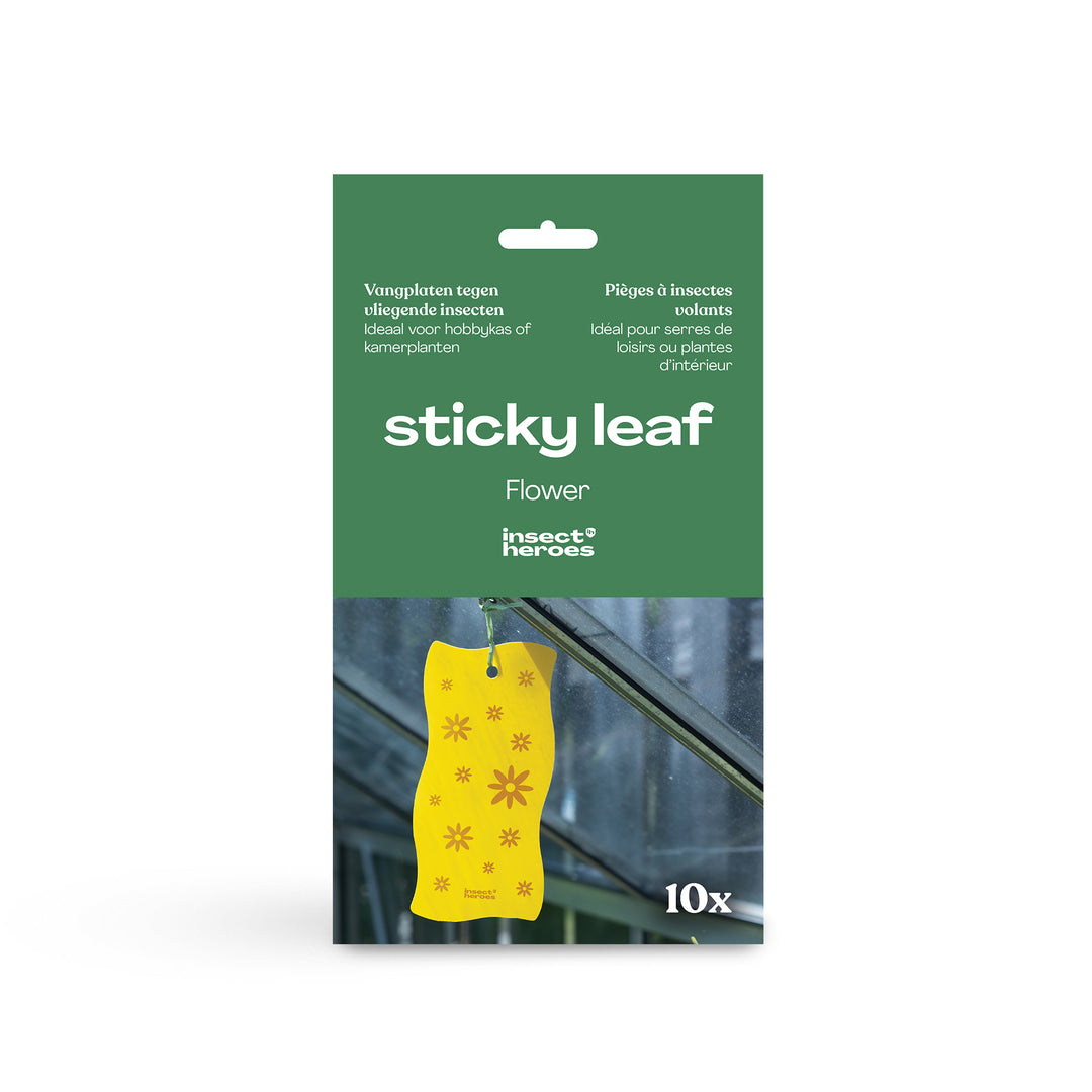 Sticky Leaf Flower - Pièges à insectes volants