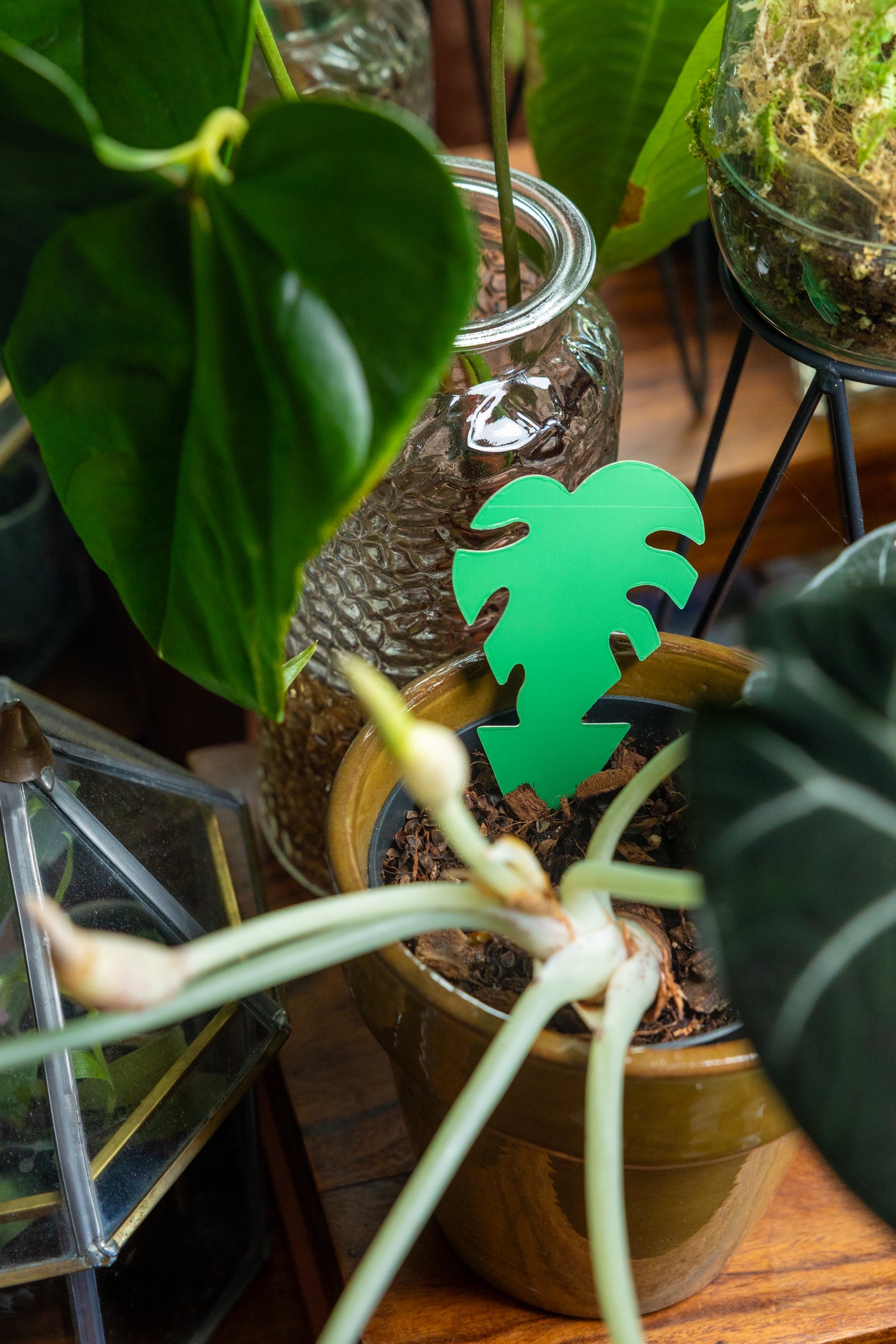 Image 58301873226061