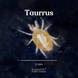Taurrus - Anti acariens des reptiles