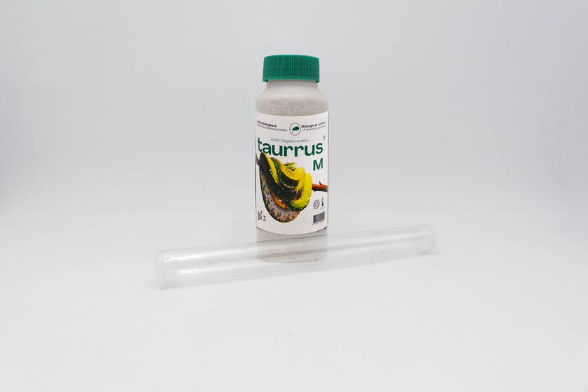 Combo Starter Taurrus M - Anti parasites des terrariums