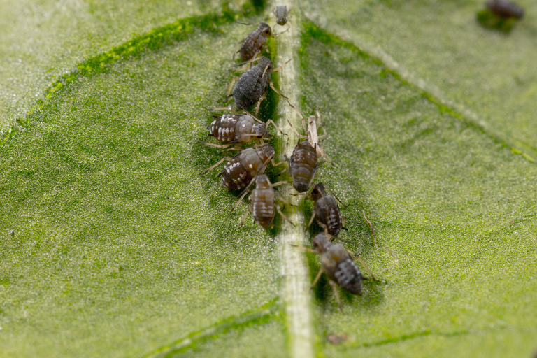 Image 49493962817869