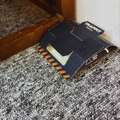 Image 58126897873229