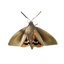 Papillons du palmier