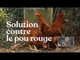 Androlis - Anti poux rouges