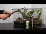 Taurrus - Anti parasites des terrariums