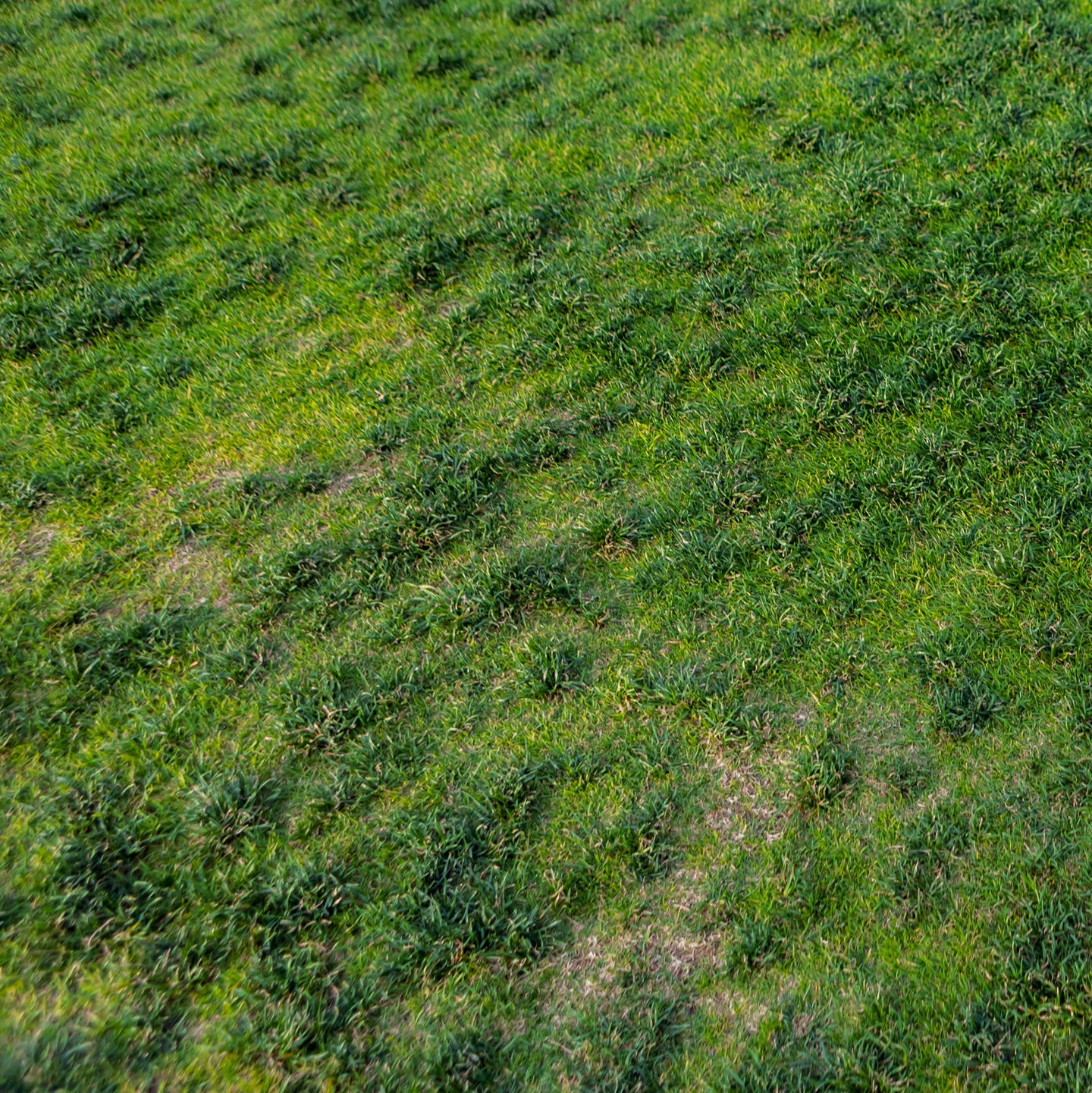 Image 44410690601293